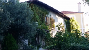 Nature taking over some old houses